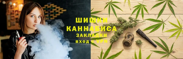 прущие грибы Баксан